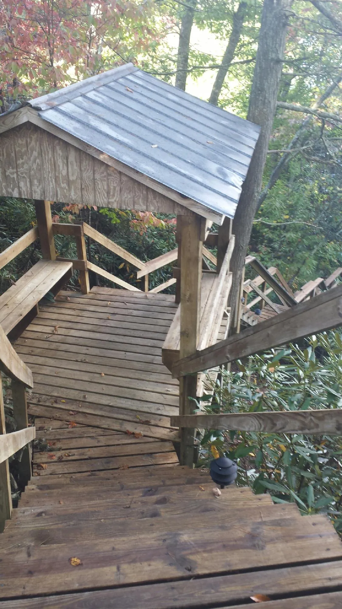 Metal roofed shelter over wooden steps on a wooded walkway in Braggs